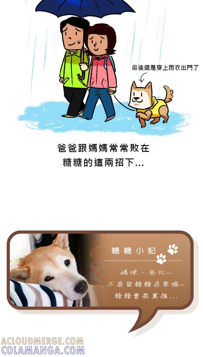 《柴犬周记》第39话 第5页
