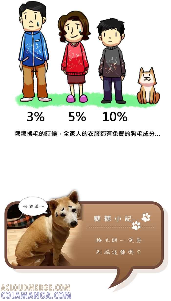 《柴犬周记》第4话 第5页