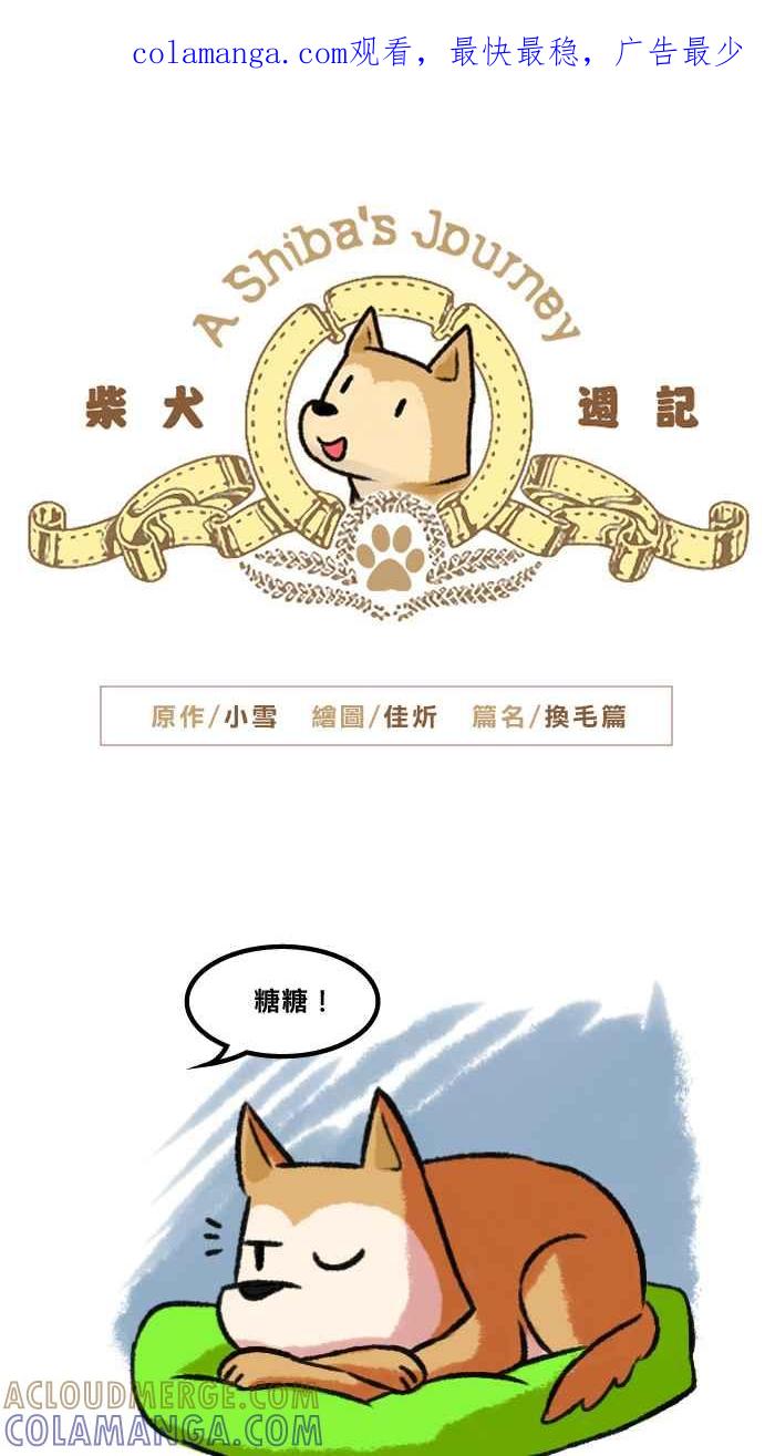 《柴犬周记》第4话 第1页
