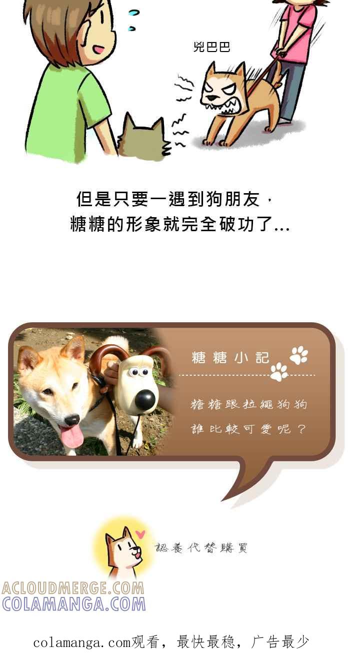 《柴犬周记》第41话 第5页