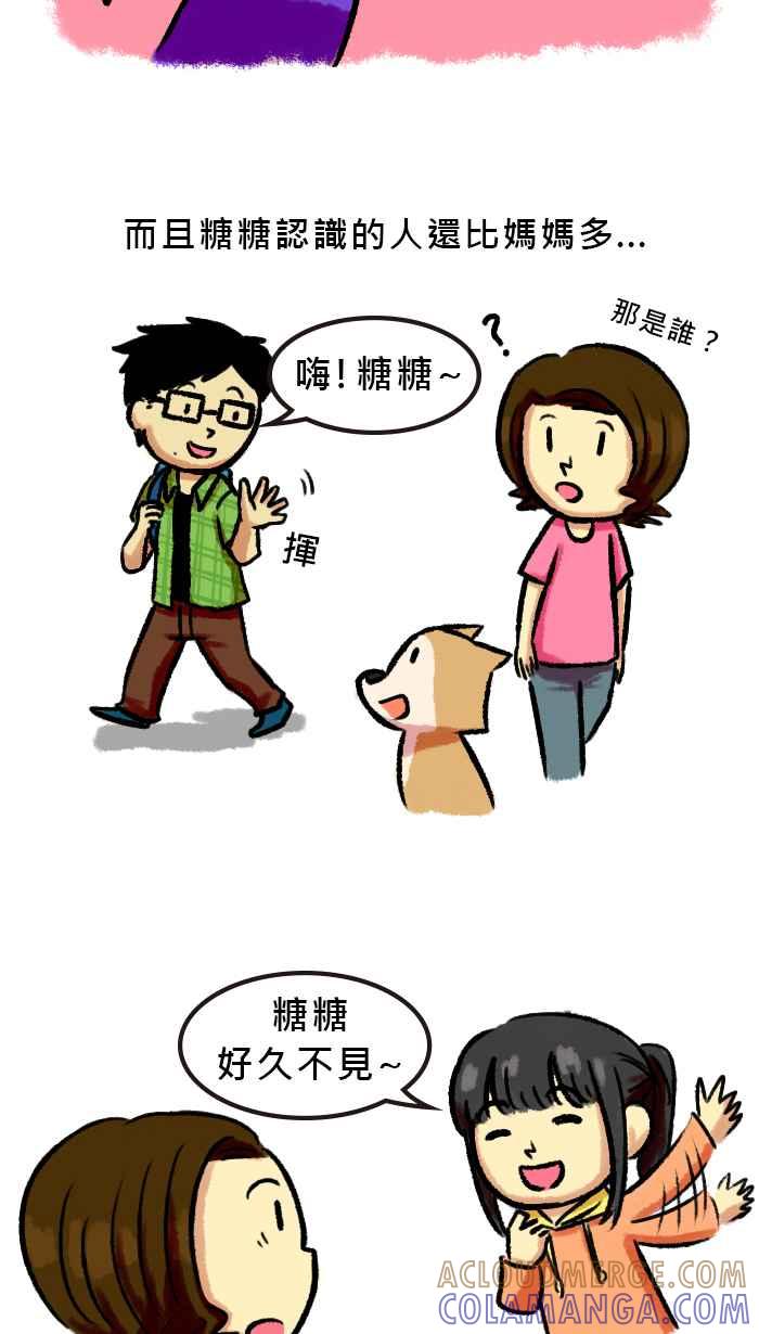 《柴犬周记》第41话 第3页