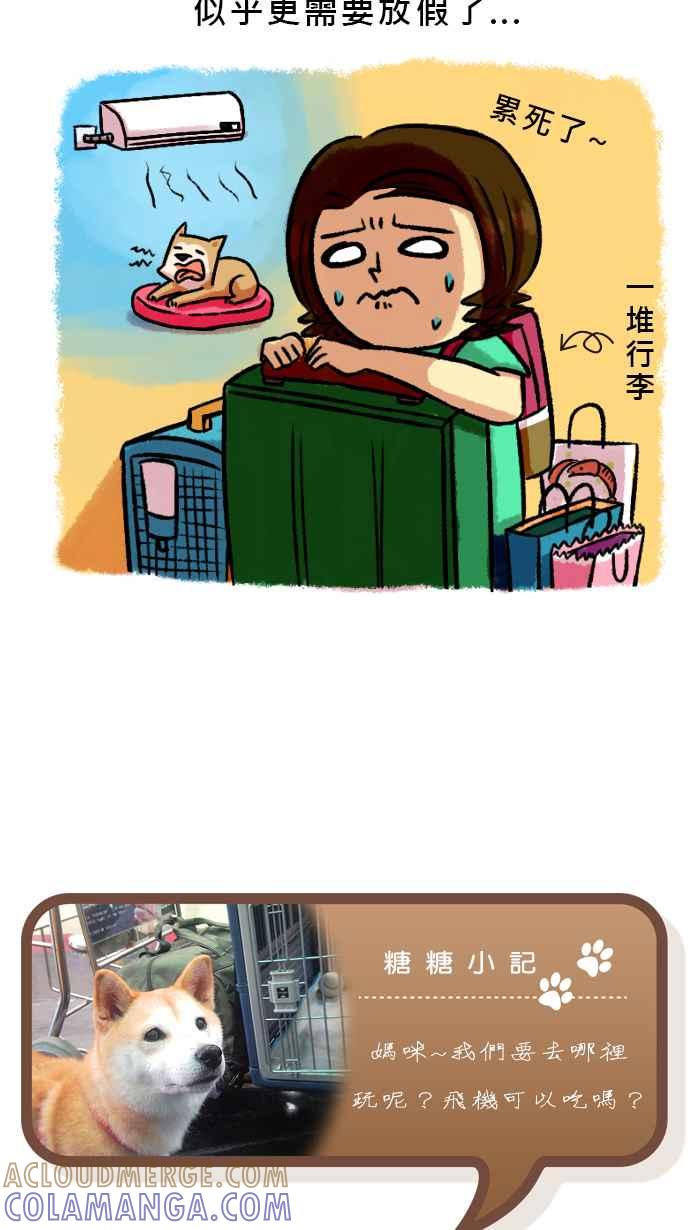 《柴犬周记》第43话 第5页