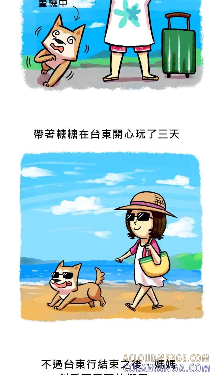 《柴犬周记》第43话 第4页