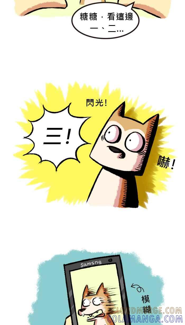 《柴犬周记》第44话 第3页