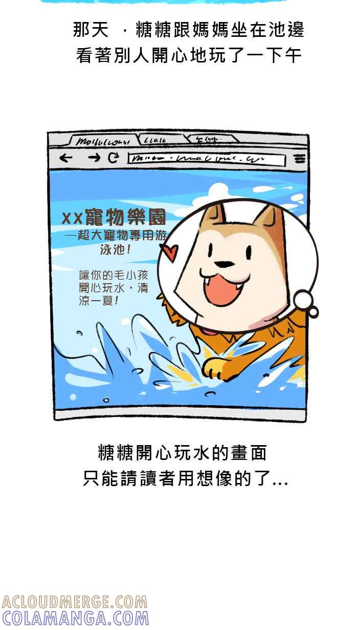 《柴犬周记》第45话 第6页