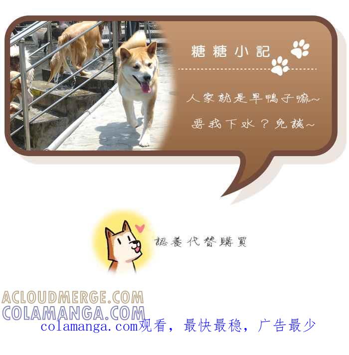 《柴犬周记》第45话 第7页