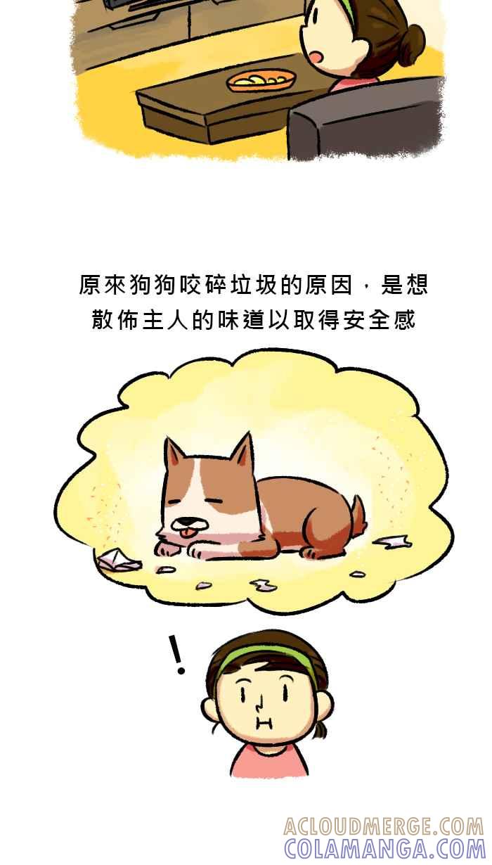 《柴犬周记》第46话 第3页