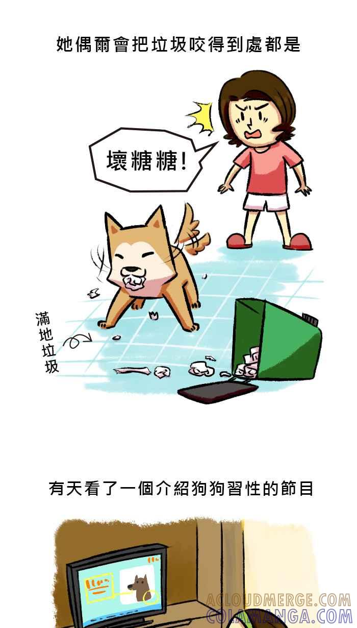 《柴犬周记》第46话 第2页