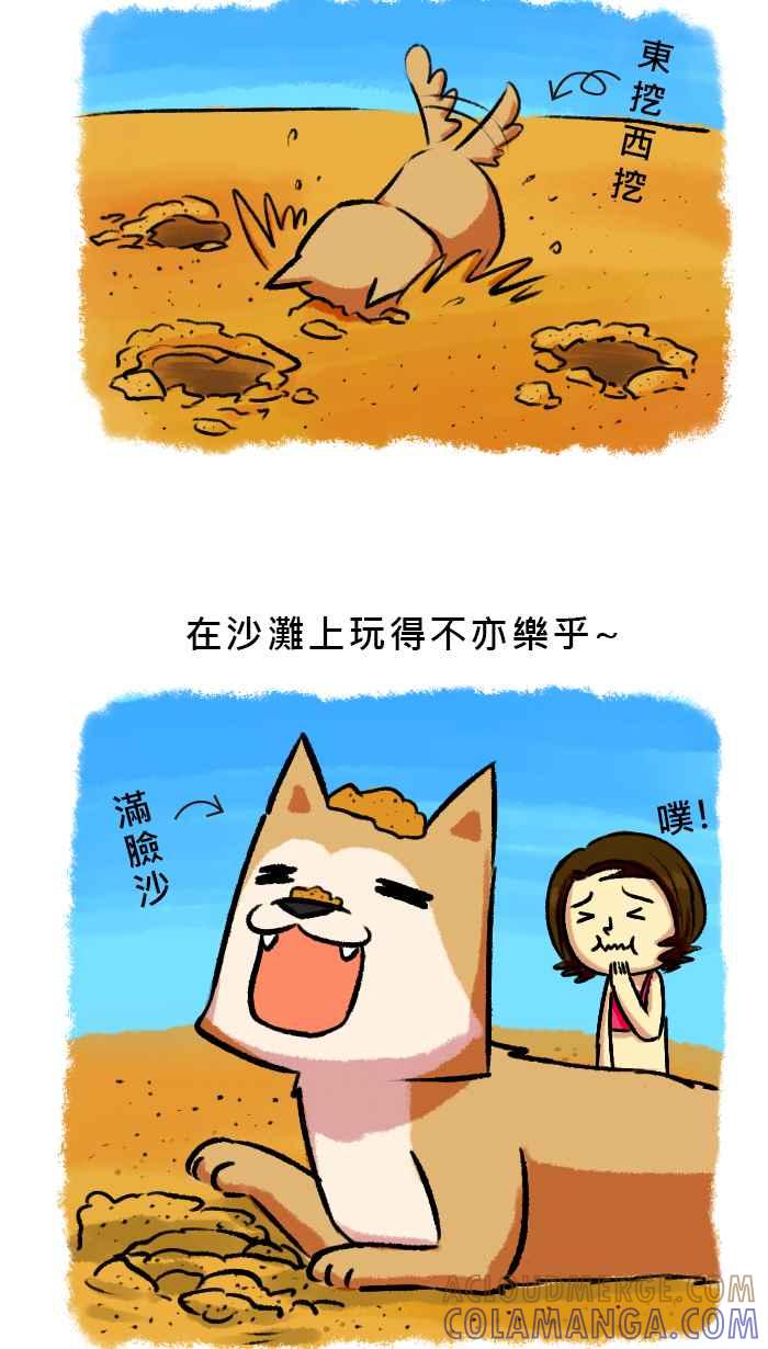 《柴犬周记》第47话 第4页