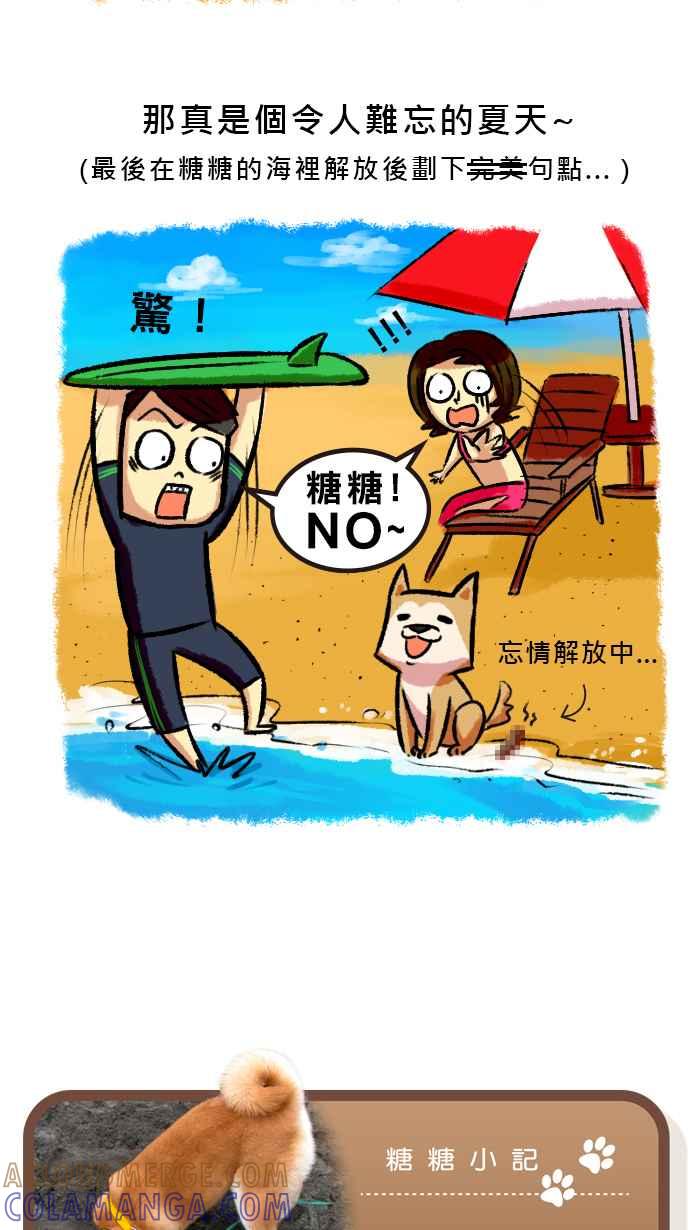 《柴犬周记》第47话 第5页