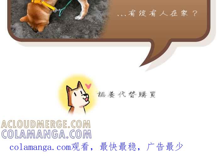 《柴犬周记》第47话 第6页