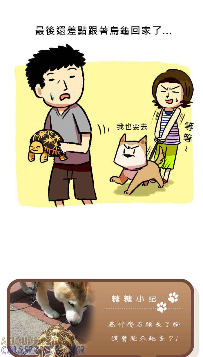 《柴犬周记》第48话 第5页