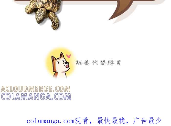 《柴犬周记》第48话 第6页