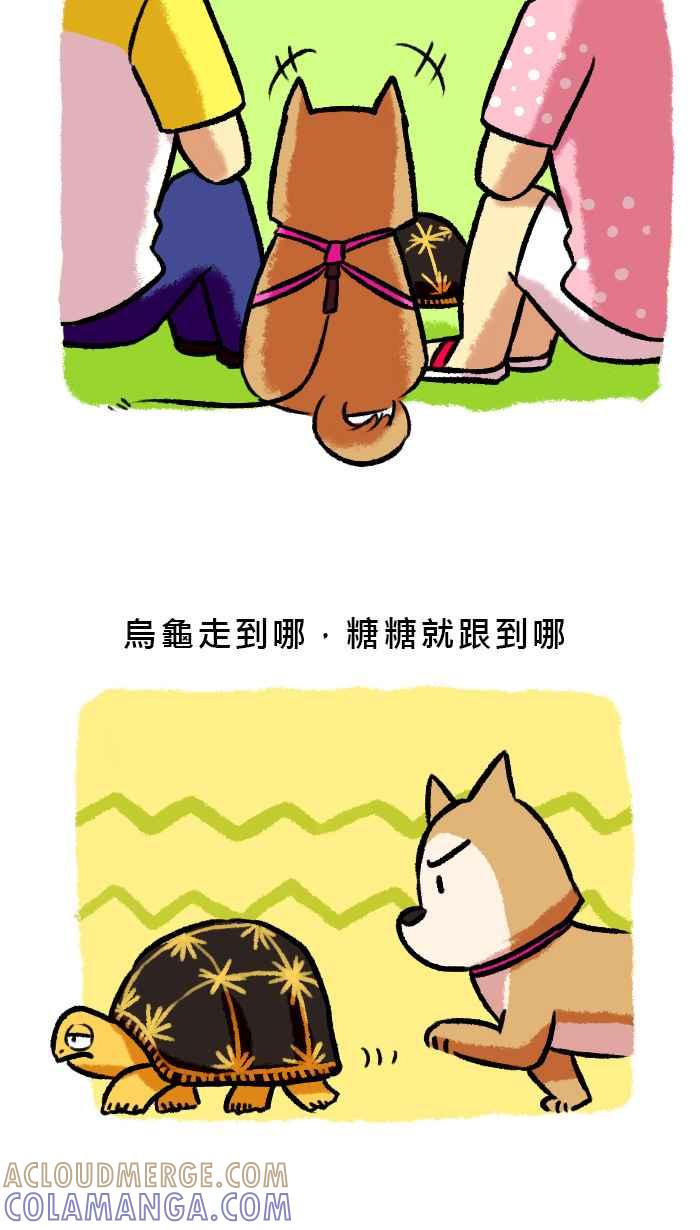 《柴犬周记》第48话 第4页