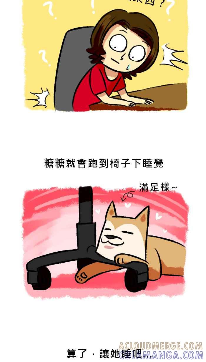 《柴犬周记》第49话 第4页