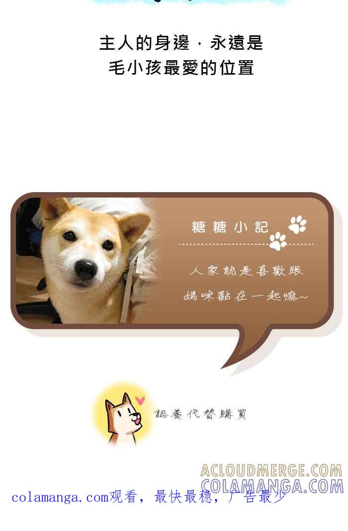 《柴犬周记》第49话 第6页
