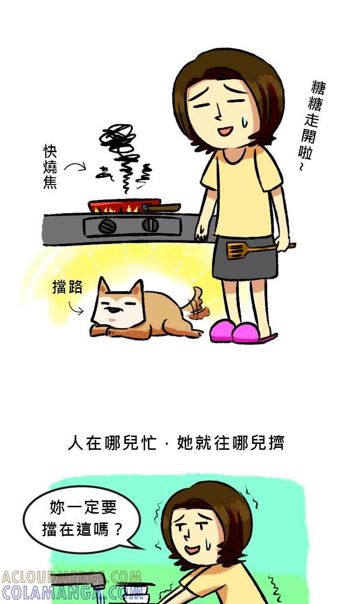 《柴犬周记》第49话 第2页