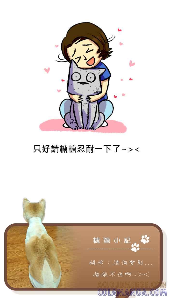 《柴犬周记》第51话 第5页