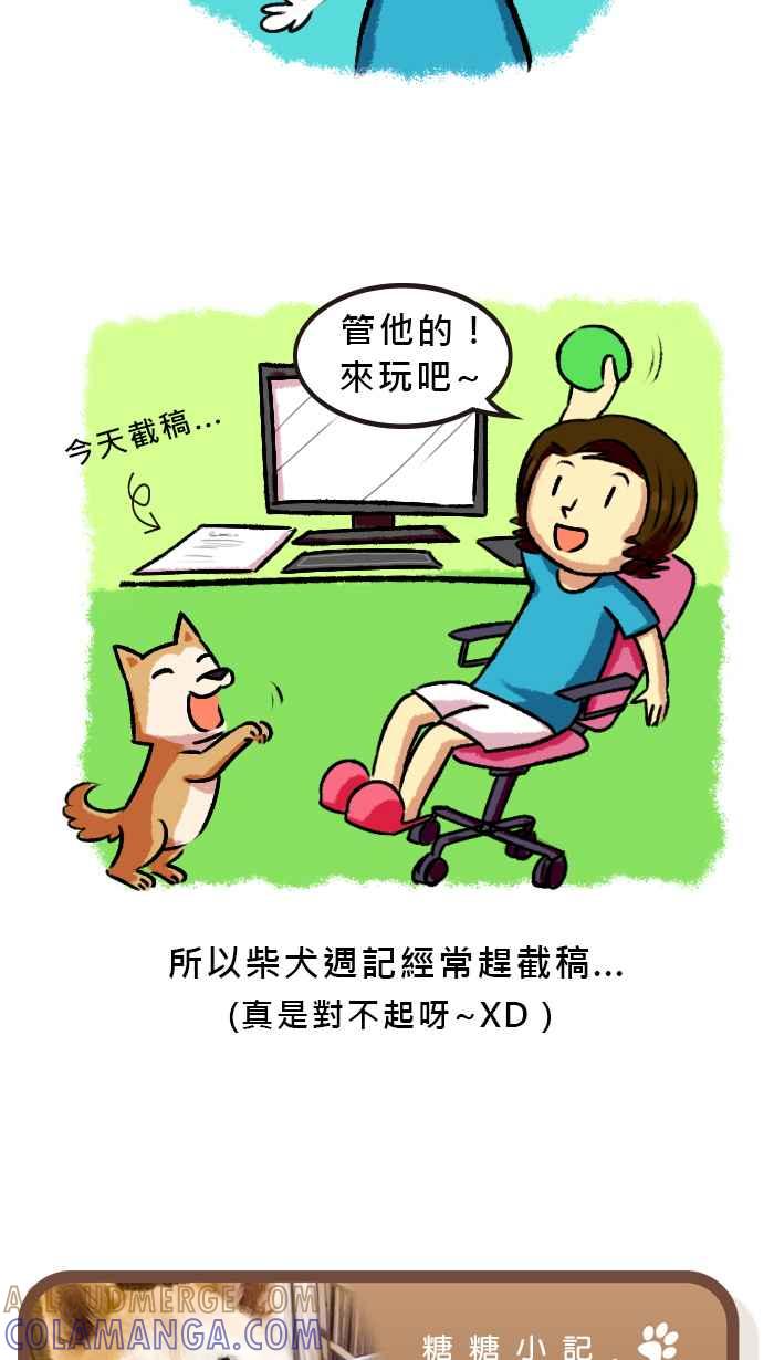 《柴犬周记》第53话 第6页