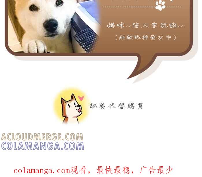 《柴犬周记》第53话 第7页
