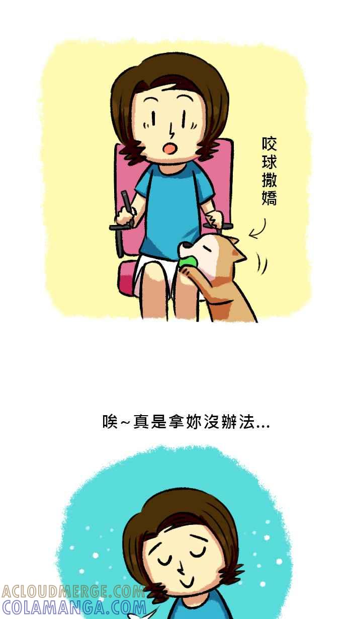 《柴犬周记》第53话 第5页