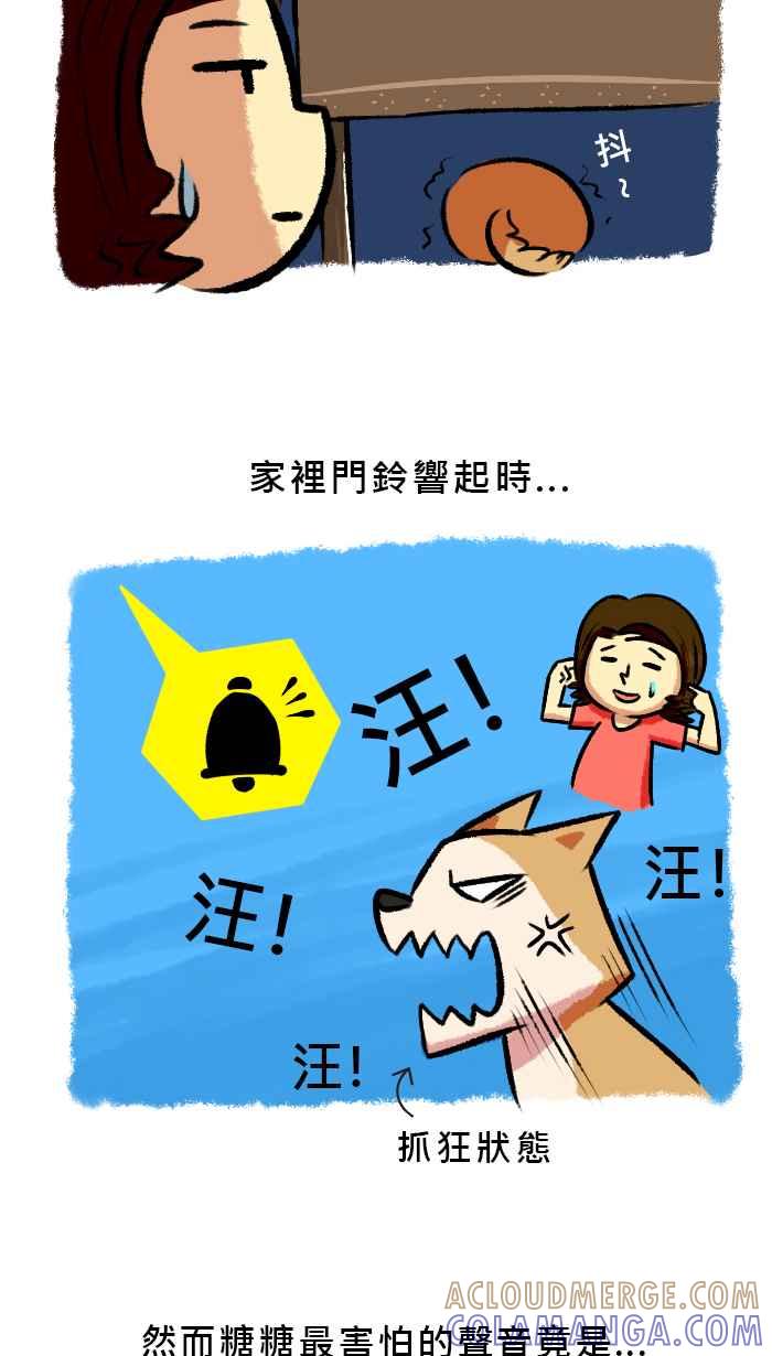 《柴犬周记》第54话 第3页