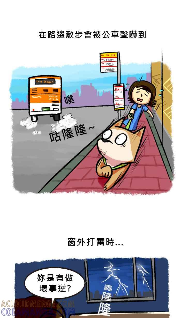 《柴犬周记》第54话 第2页