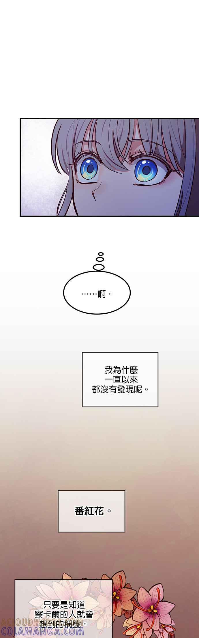 《神灯精灵亚美娜》第55话 第19页