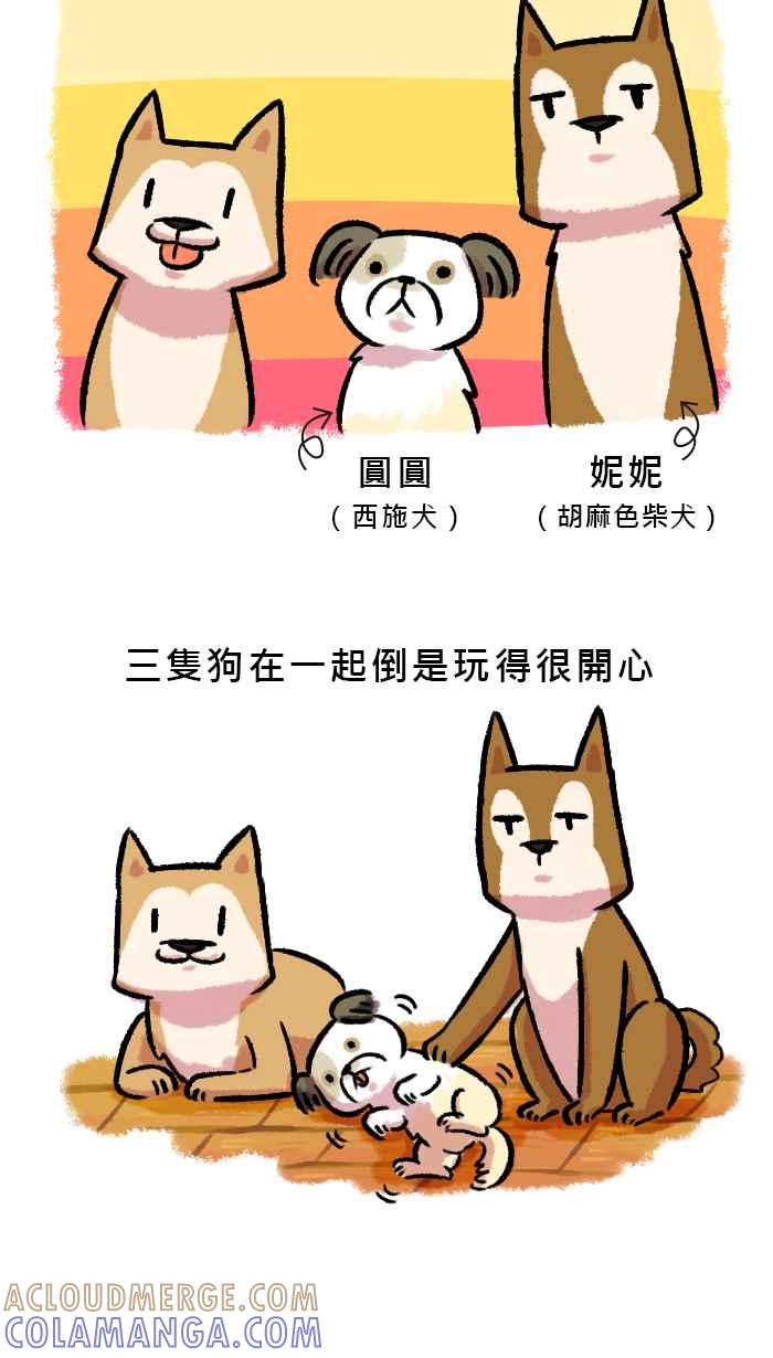 《柴犬周记》第55话 第4页