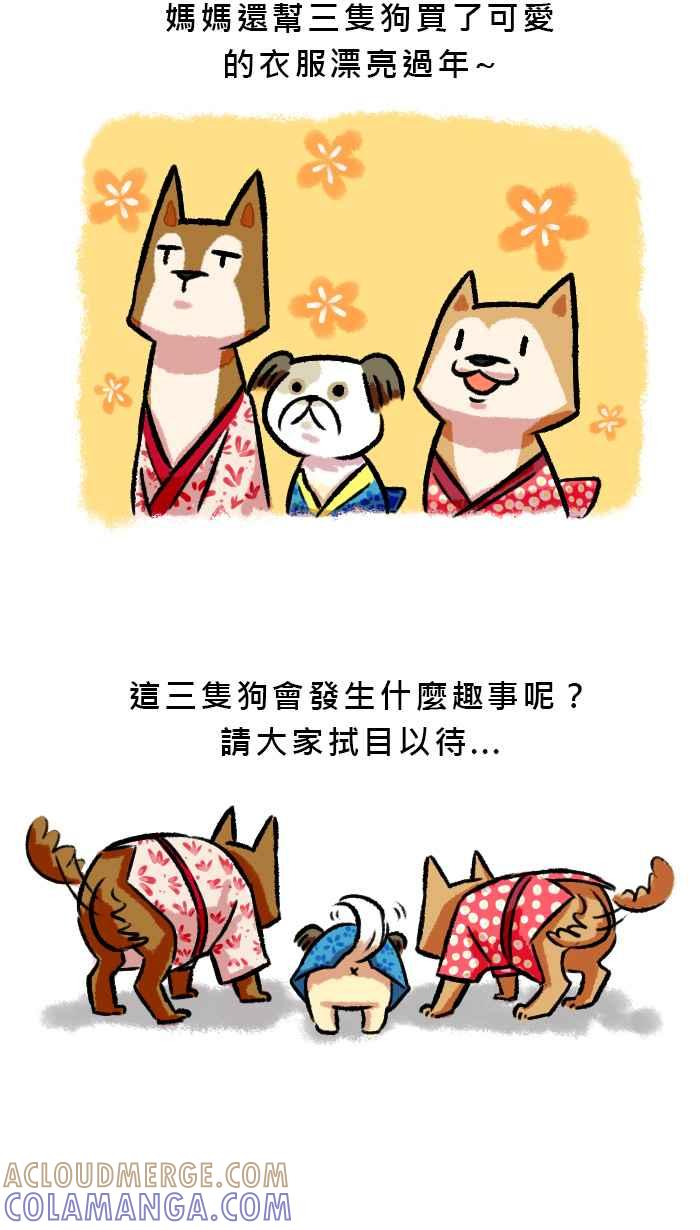 《柴犬周记》第55话 第5页