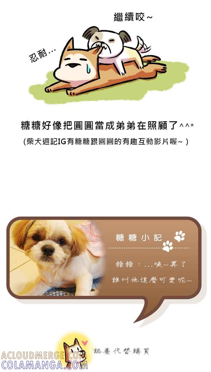 《柴犬周记》第56话 第5页