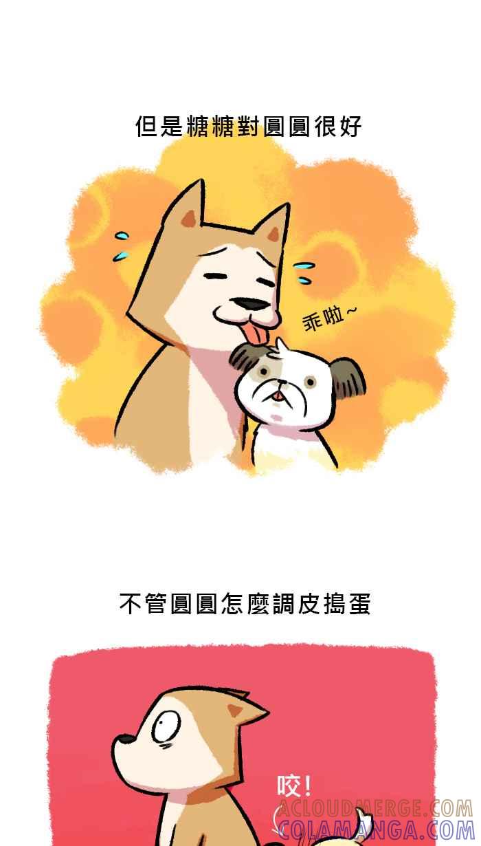 《柴犬周记》第56话 第2页