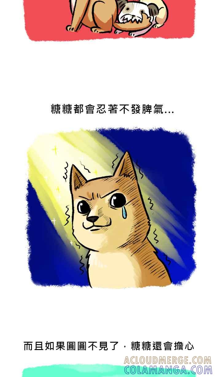 《柴犬周记》第56话 第3页