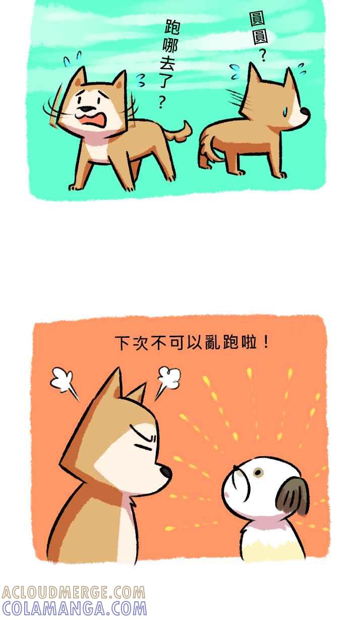 《柴犬周记》第56话 第4页