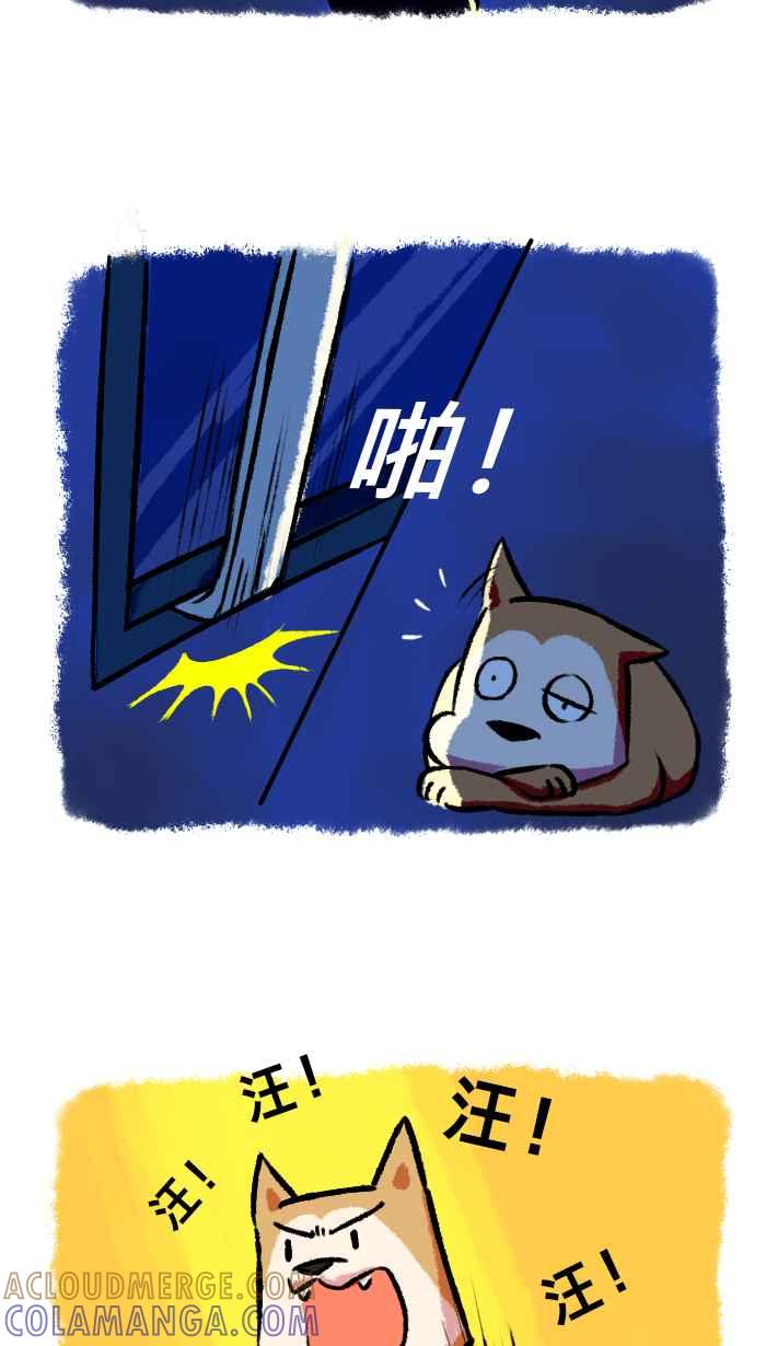 《柴犬周记》第57话 第3页
