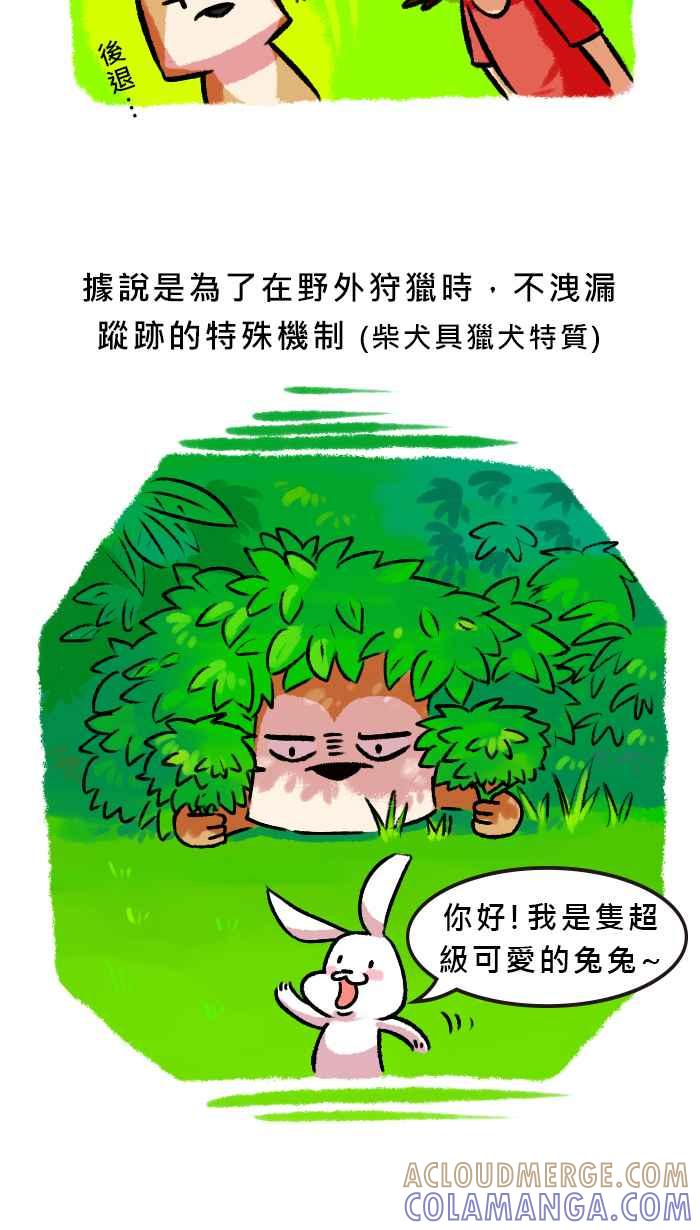 《柴犬周记》第59话 第3页