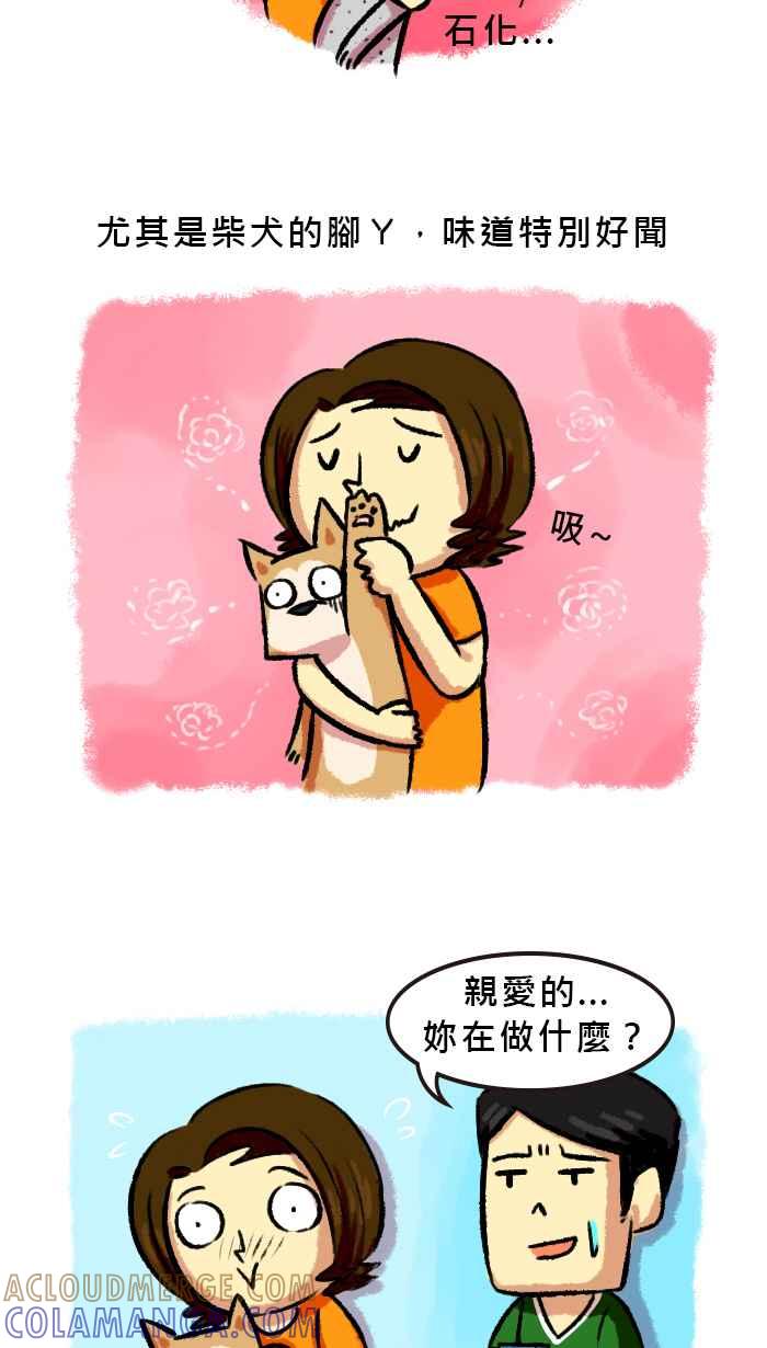 《柴犬周记》第59话 第5页