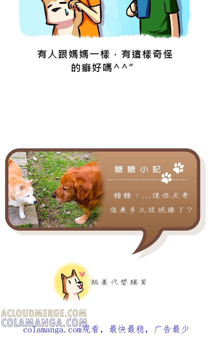 《柴犬周记》第59话 第6页