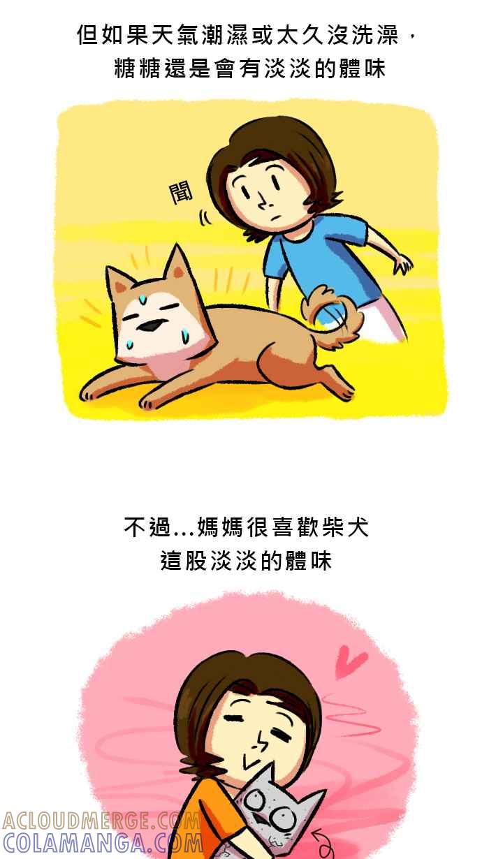 《柴犬周记》第59话 第4页