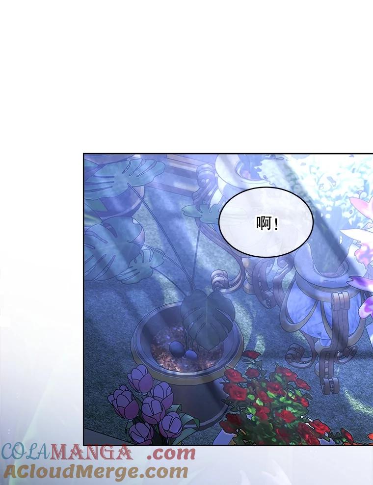 重生为神兽宝宝 - 21.意外相遇 - 第9张图