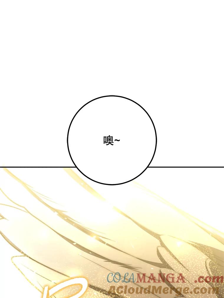 铁匠吉格 64.大更新 第169页