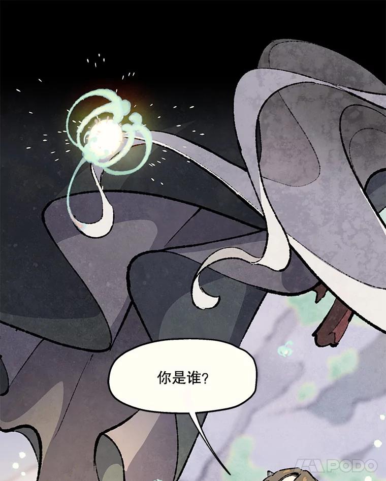 《在流星坠落之处等待》81.银色猫头鹰（5） 第19页
