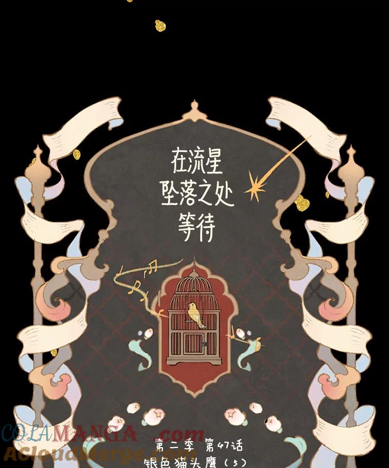 《在流星坠落之处等待》81.银色猫头鹰（5） 第17页