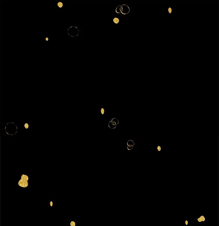 《在流星坠落之处等待》81.银色猫头鹰（5） 第16页