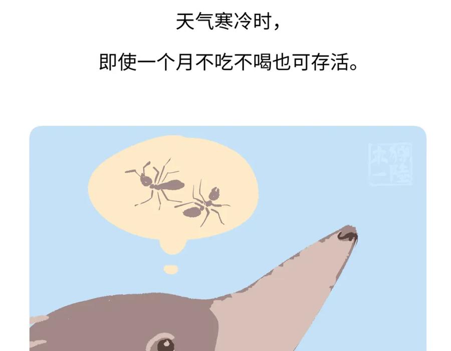 《胖达x胖达》第256话 第30页