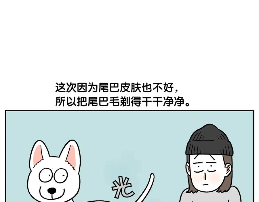 《我的狗子叫棉花》第55话 鼠鼠棉花 第6页