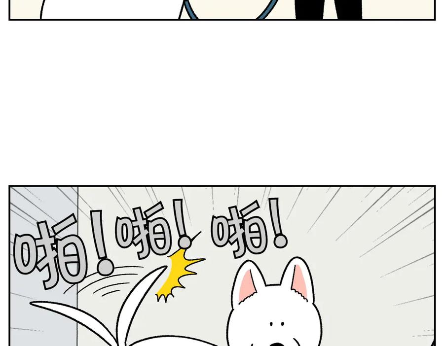 《我的狗子叫棉花》第55话 鼠鼠棉花 第11页