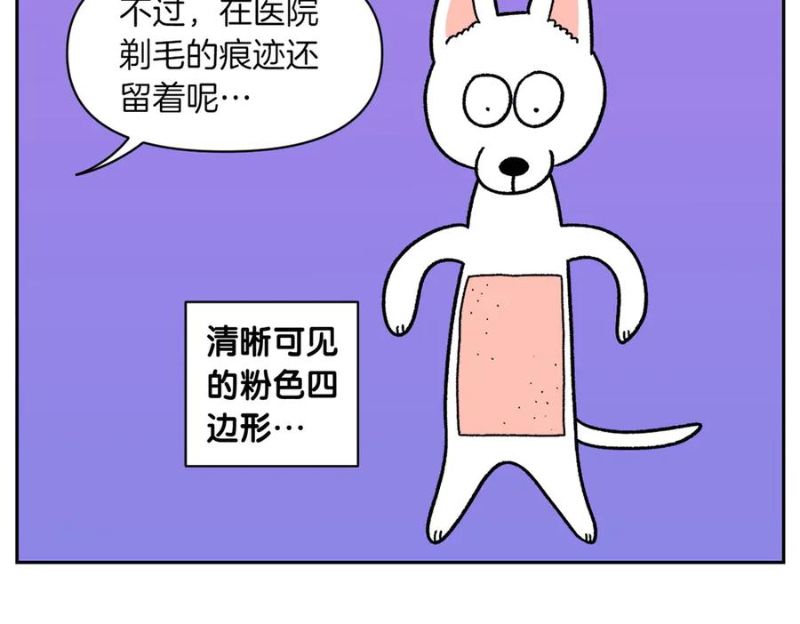 《我的狗子叫棉花》第55话 鼠鼠棉花 第18页