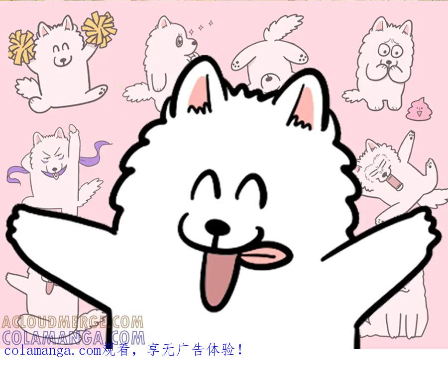 《我的狗子叫棉花》第55话 鼠鼠棉花 第1页