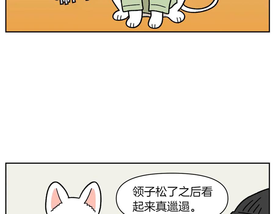 《我的狗子叫棉花》第55话 鼠鼠棉花 第38页